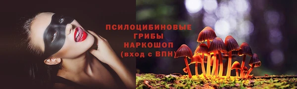 ешки Абинск