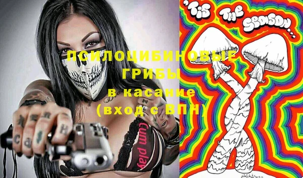 молекула духа Алексин