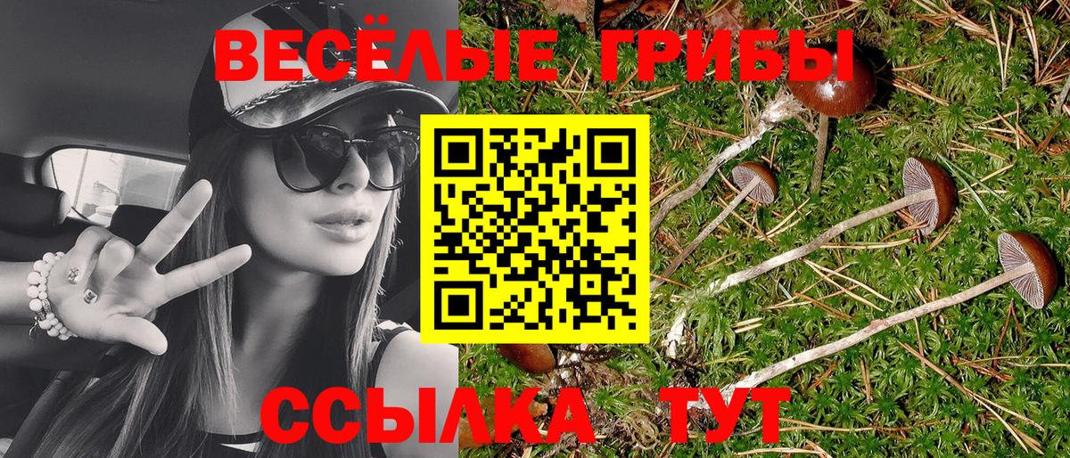Псилоцибиновые грибы GOLDEN TEACHER Химки