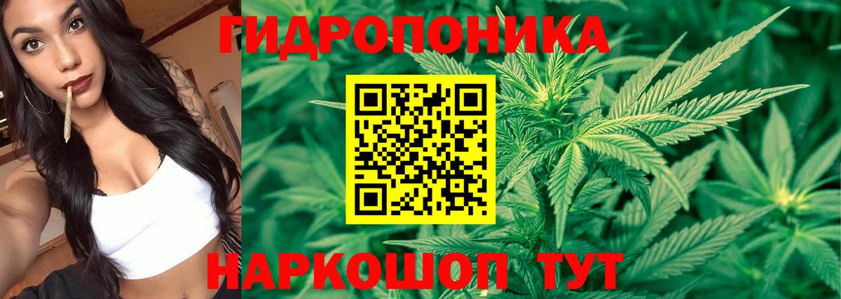 Химки  Шишки марихуана AK-47  Шишки марихуана SATIVA & INDICA  Вход с VPN 